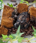 Hình ảnh: Mua nấm chaga siberia hoang dã từ Nga