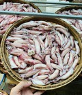 Hình ảnh: Mực Trứng Hấp 1kg Mực Quảng Nam