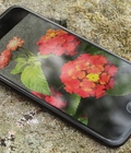 Hình ảnh: IPhone 7 32GB giá siêu tốt