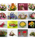 Hình ảnh: Bộ vcd hướng dẫn cắm hoa - Từ cơ bản đến nâng cao