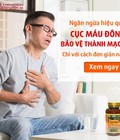 Hình ảnh: Cao hồng sâm chính hãng 365 sâm Hàn Quốc 6 năm tuổi hộp 4 lọ 240g