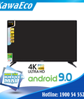 Hình ảnh: Tivi KawaEco LTV 5503 smart tv 55 inch 4K
