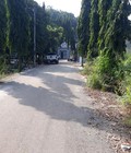 Hình ảnh: Bán đất tại đường DH5 nhựa 6m Tân Định, Bến Cát, Bình Dương, diện tích 100m2, 1.2 tỷ
