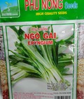 Hình ảnh: Hạt giống ngò gai Phú Nông