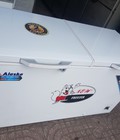 Hình ảnh: Tủ đông cũ ALASKA 550 Lít HB 550C, mới 90%, mát đá nhanh, chạy êm, nhỏ gọn