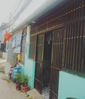 Hình ảnh: Bán gấp nhà tại ấp Vĩnh An Tân Vĩnh Hiệp Tân Uyên Bình Dương