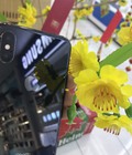Hình ảnh: Chỉ với từ 11.490.000 có ngay iphone XS