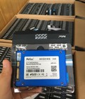 Hình ảnh: Phân phối ổ cứng SSD Netac N600S tại Hà Nội 0975045886