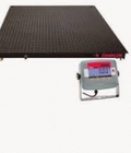 Hình ảnh: Cân sàn điện tủ công nghiệp T31P Ohaus, mức tải 500kg,1t,2t,3t,5t
