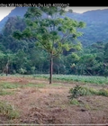 Hình ảnh: Trang trại sinh thái nghỉ dưỡng kết hợp dịch vụ du lịch 40000m2, 300m2 thổ cư, đang trồng nhiều cây ăn quả hơn 20 năm,