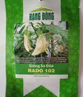 Hình ảnh: Hạt giống bông so đũa Rạng Đông
