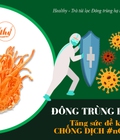 Hình ảnh: Đông trùng hạ thảo tăng khả năng miễn dịch chống nCovid 19 Đông trùng hạ thảo tăng khả năng miễn dịch chống nCovid