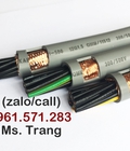 Hình ảnh: Control cable 8x0.75mm2 Cáp điều khiển chống nhiễu