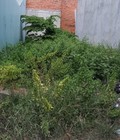 Hình ảnh: Bán đất chợ chon thành 150m2 giá 500tr sổ hồng riêng