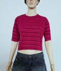 Hình ảnh: Chuyên sỉ áo thun xuất khẩu Croptop mùa hè giá 10k