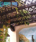 Hình ảnh: Chuyên cung cấp, thi công pergola sắt, mái hiên sắt CNC