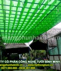 Hình ảnh: Lưới che nắng thái lan, lưới che vườn rau, lưới che nắng trồng rau, lưới che rau màu, lưới che nắng trồng rau sạch