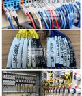 Hình ảnh: Dịch vụ in ống lồng đầu cốt theo yêu cầu