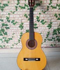 Hình ảnh: Chuyên bán guitar giá rẻ nhất tphcm