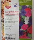 Hình ảnh: Hạt giống hoa dạ yến thảo mix nhiều màu F1508