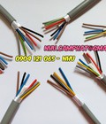 Hình ảnh: Cáp điều khiển Altek Kabel. CT 500 6x0.75mm2. 8x0.75mm2