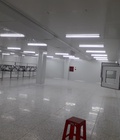 Hình ảnh: Cho thuê phòng sạch làm kho xưởng tại Phúc Yên, Vĩnh Phúc 505m2 Có Ảnh