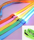 Hình ảnh:  Dây dắt chó mèo có đèn LED phát sáng