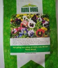 Hình ảnh: Hạt giống hoa Viola, cánh bướm, Pansy nhiều màu Rạng Đông