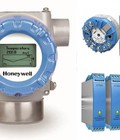 Hình ảnh: Biến dẫn đo nhiệt độ Honeywell STT171
