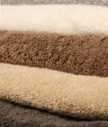 Hình ảnh: Khăn gội cotton Protex sợi CM cao cấp sợi chải kỹ