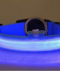 Hình ảnh: vòng cổ chó mèo phát sáng đèn led