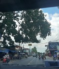 Hình ảnh: Cần thanh lý gấp lô đất chính chủ ,giá rẻ hơn thị trường ,sổ riêng ,full thổ cư
