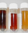 Hình ảnh: Công ty gưi mẫu ADN uy tín nhất Việt Nam
