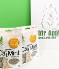 Hình ảnh: Cỏ bạc hà Catnip Hahale Cat Mint danh cho chó mèo