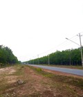 Hình ảnh: Bán đất nền Dầu Tiếng giá rẻ