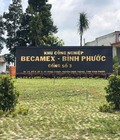 Hình ảnh: Đất ngay KCN BECAMEX 1000m2 giá rẻ chỉ 300tr có ngay đất đẹp.