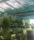 Hình ảnh: Lưới che nắng thai lan, lưới che nắng thai lan tại hà nội, nơi bán lưới che nắng thai lan tại hà nộị