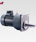 Hình ảnh: Motor giảm tốc mặt bích Wanshsin GV45