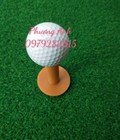 Hình ảnh: Tee golf cao su giá rẻ nhất thị trường