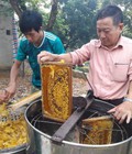 Hình ảnh: Thu hà chuyên sỉ lẻ mật ong xịn gía rẻ lục ngạn bắc giang sỉ lẻ bao giá toàn quốc