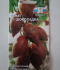 Hình ảnh: Hạt giống cà chua Socola siêu ngọt nhập khẩu