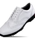 Hình ảnh: Giày golf nam XZ042 PGM golf shoes leather