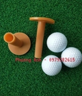 Hình ảnh: Tee Golf