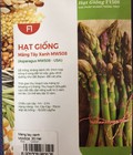 Hình ảnh: Hạt giống măng tây xanh F1508