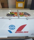 Hình ảnh: Tủ đông mát Darling 450 l