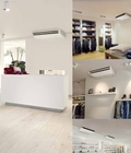 Hình ảnh: cung cấp máy lạnh áp trần Daikin FHA100BVMV/RZF100CVM giá TỐT