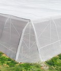 Hình ảnh: Lưới chắn côn trùng Israel,lưới chắn côn trùng nông nghiệp, lưới chắn côn trùng nhà kính, lưới chắn côn trùng giá rẻ