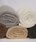 Hình ảnh: Khăn gội cotton sợi CM cao cấp