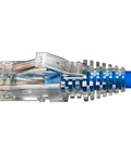 Hình ảnh: Dây nhảy patch cord Cat 5e Commscope/AMP