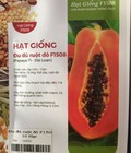 Hình ảnh: Hạt giống đu đủ ruột đỏ F1508